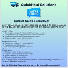 Hiring Sales Agent Entry level