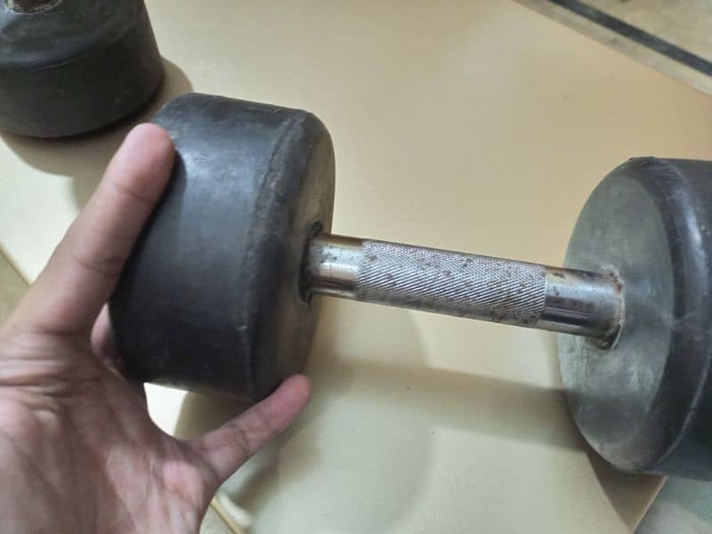 3 Kg Dumbbells Pair 2