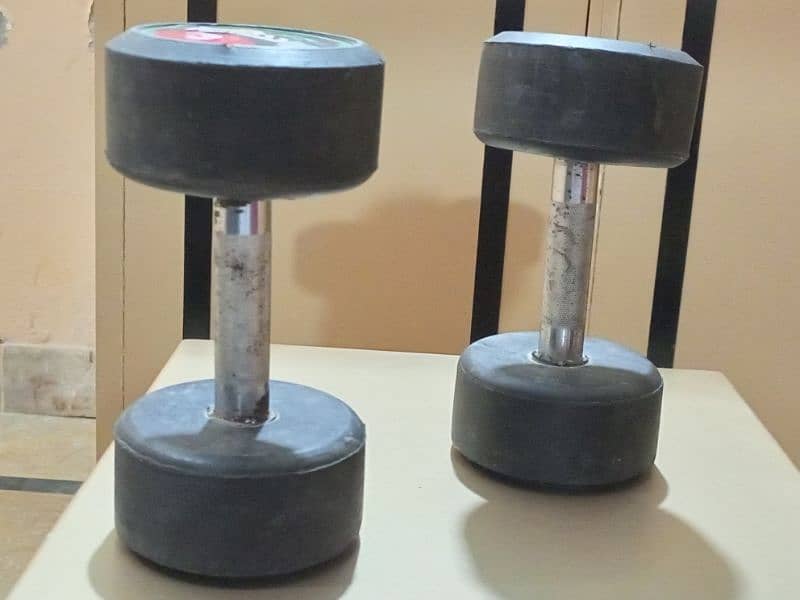 3 Kg Dumbbells Pair 3