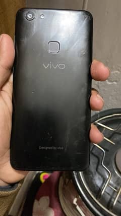 vivo