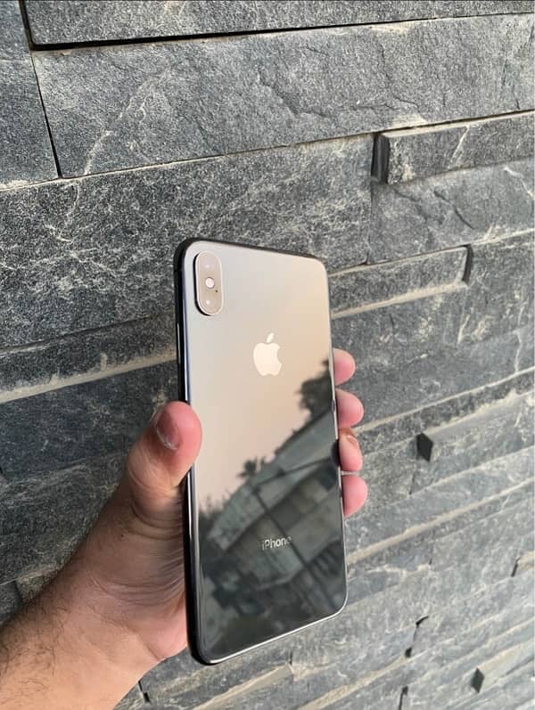 iPhone XS Max 256GB 1