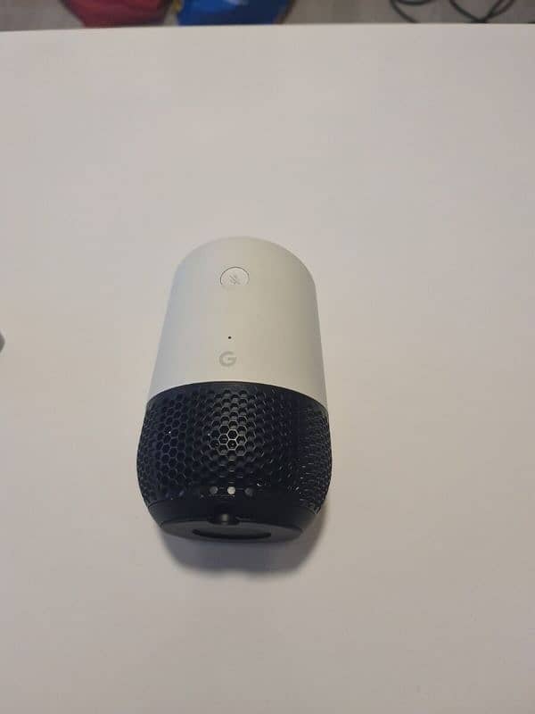 Google Home Soeaker 1