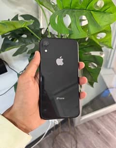 iPhone XR FU non PTA  64 GB WATERPACK 10/10