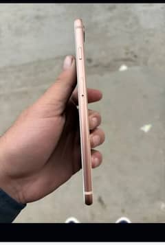 iphone 8 plus 6 gb pta aproved