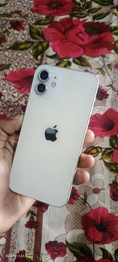 i phone12 non pta factory unlock condition 10/10 one hand use