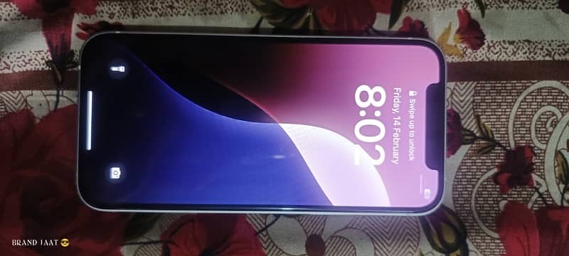 i phone12 non pta factory unlock condition 10/10 one hand use 1