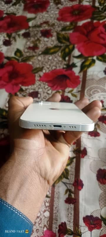 i phone12 non pta factory unlock condition 10/10 one hand use 3