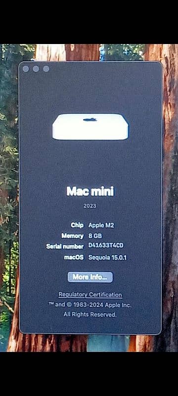 Mac Mini M2 2023 8GB 256GB, 8GB 512GB & 16GB 256GB with Box 4