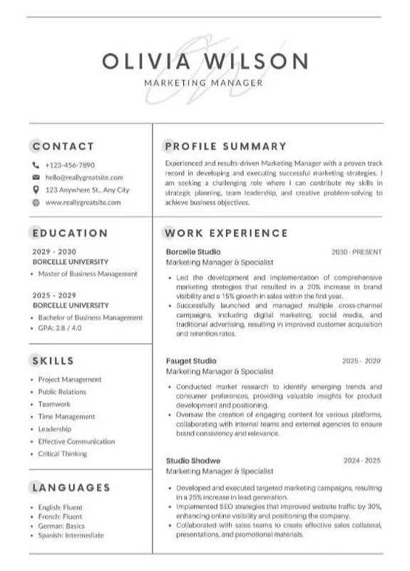 Writing CV / Resume / CV Maker / CV Designer Professional 2