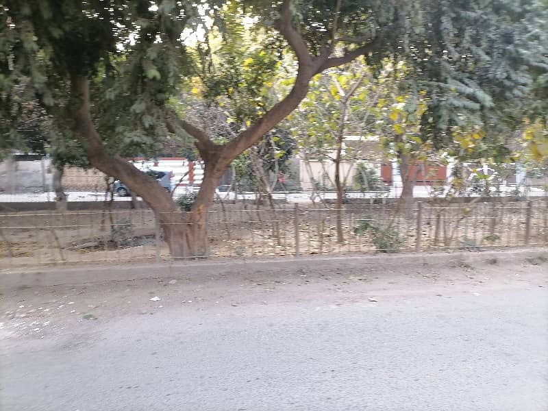 Facing Park 10 Marla House In Allama Iqbal Town - Raza Block Is Best Option 18