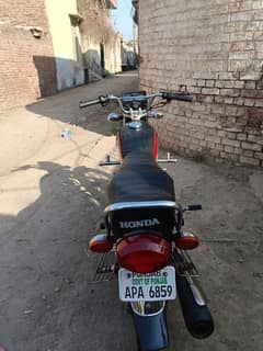 honda 125 self 10by9