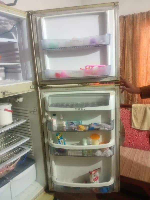 PEL company Refrigerator 1