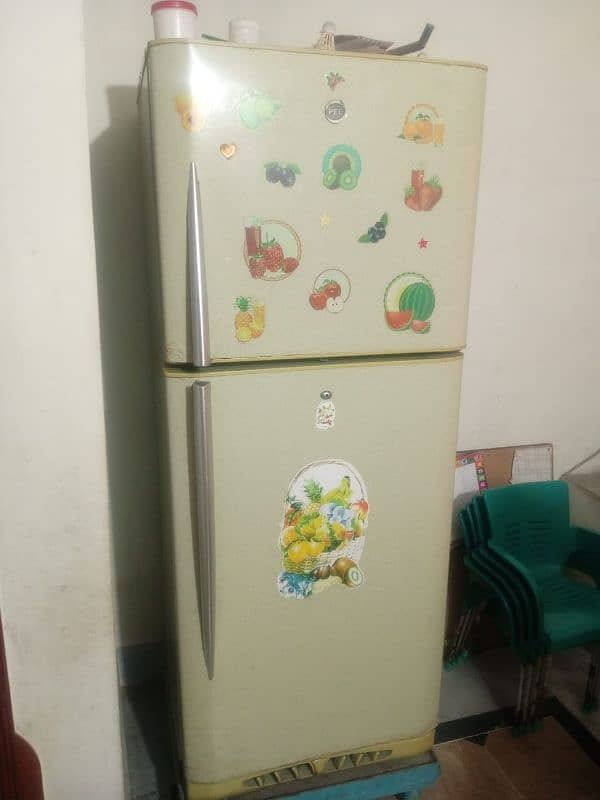 PEL company Refrigerator 5