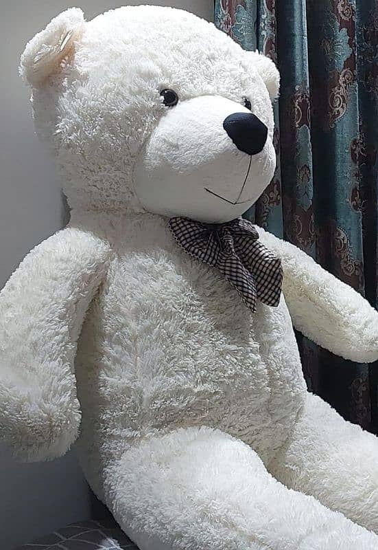 Teddy Bears Are Available 0