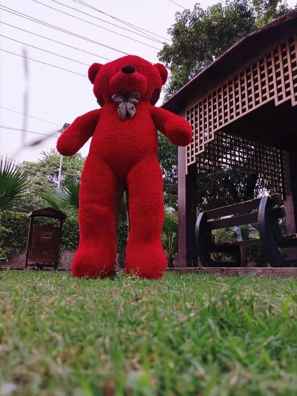 Teddy Bears Are Available 9