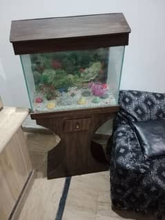 Fish aquarium