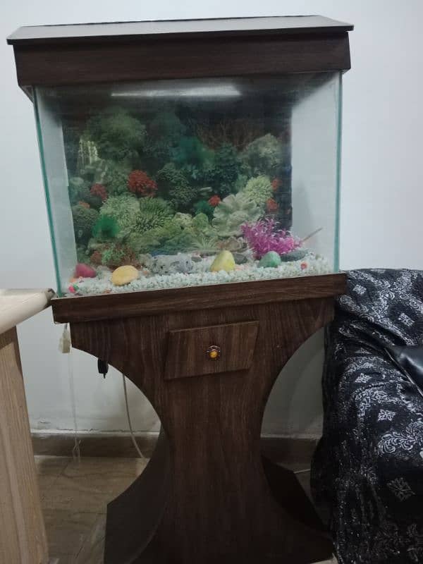 Fish aquarium 3