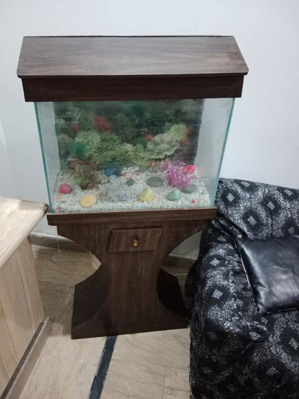 Fish aquarium 4