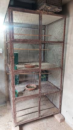 Bird' iron cage fr sale