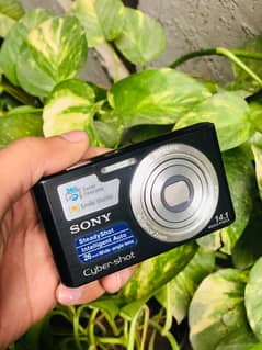 Sony Cyber-Shot DSC-W610