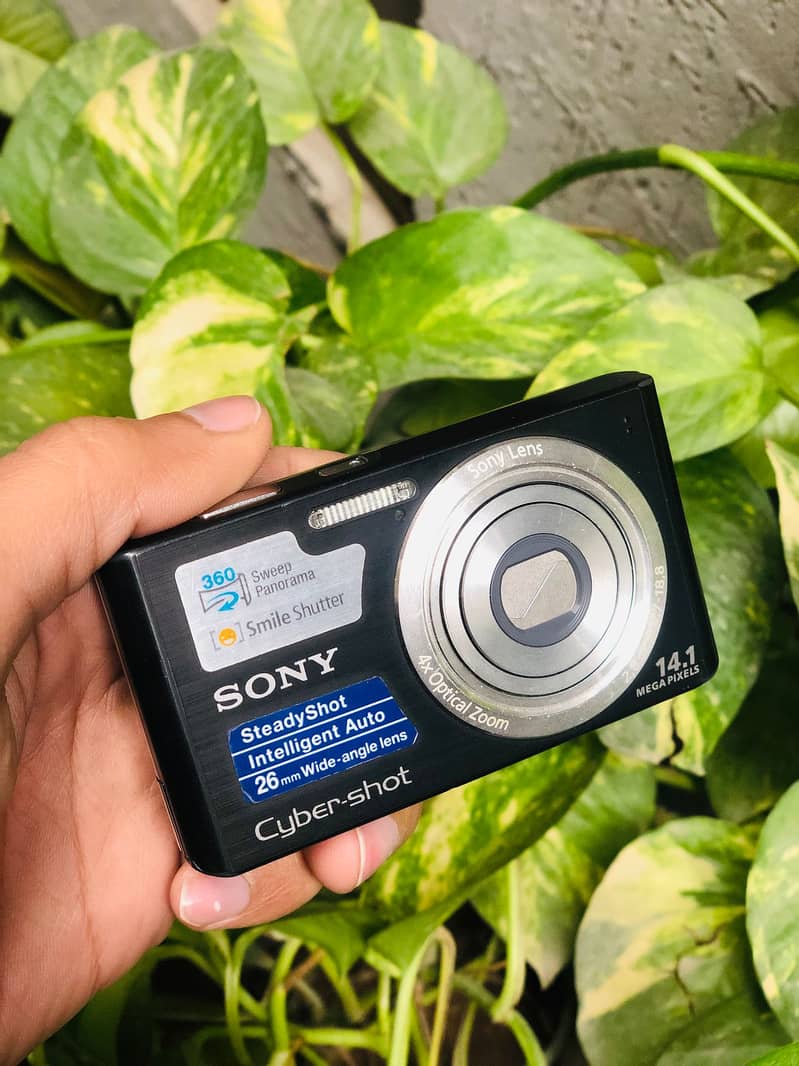 Sony Cyber-Shot DSC-W610 0