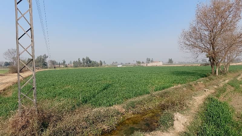 100 Kanal Agricultural Land Near Multan Road 1