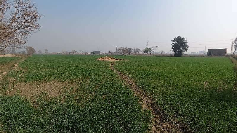 100 Kanal Agricultural Land Near Multan Road 2