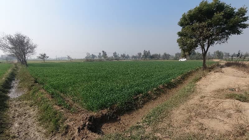 100 Kanal Agricultural Land Near Multan Road 3