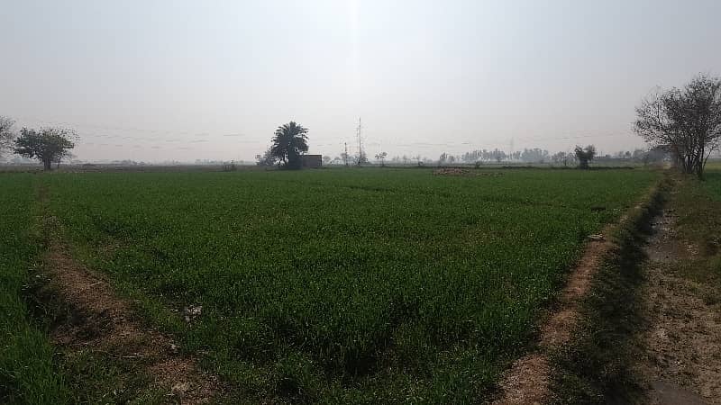 100 Kanal Agricultural Land Near Multan Road 4