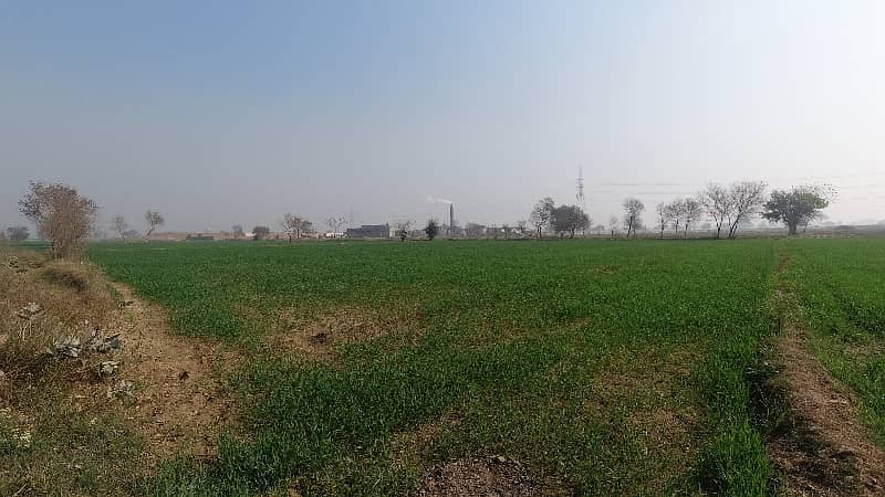 100 Kanal Agricultural Land Near Multan Road 5