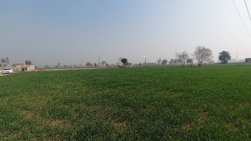 100 Kanal Agricultural Land Near Multan Road 6