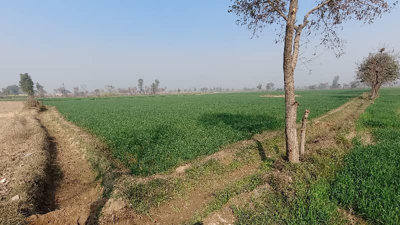 100 Kanal Agricultural Land Near Multan Road 7