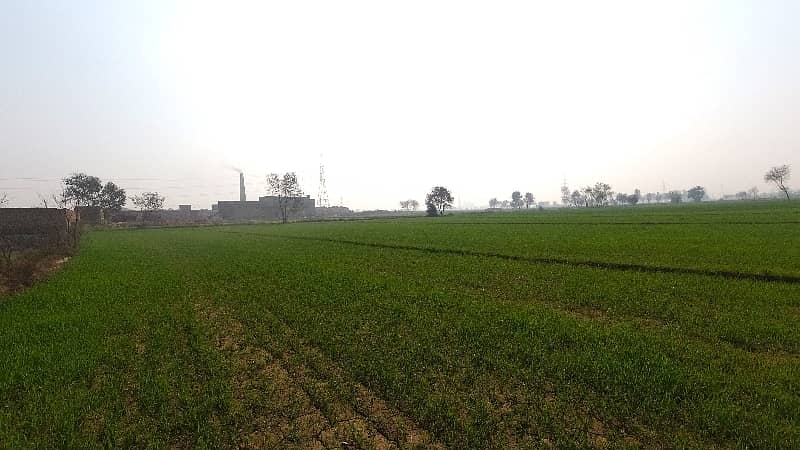 100 Kanal Agricultural Land Near Multan Road 9