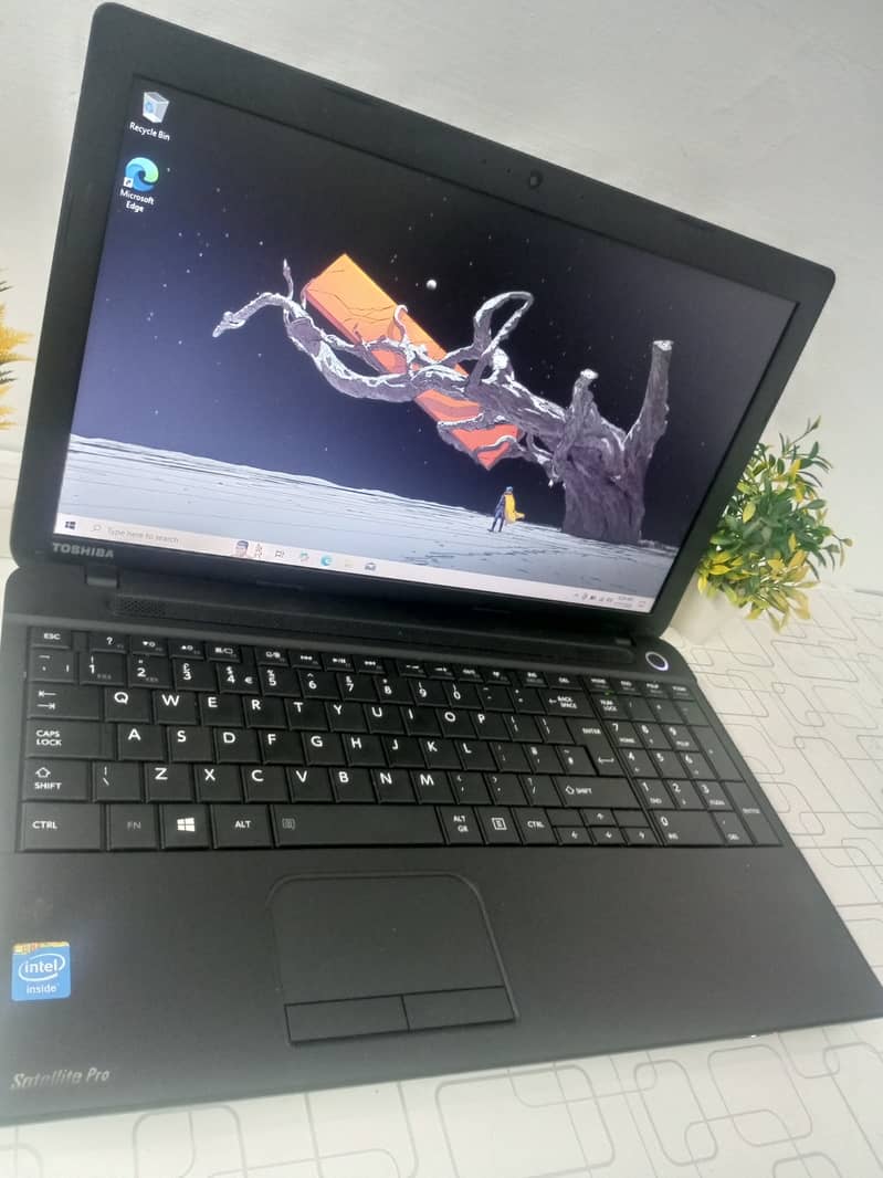 Toshiba Satellite Pro C50-A-1E0 | Intel Celeron | 15.6" HD Display 3