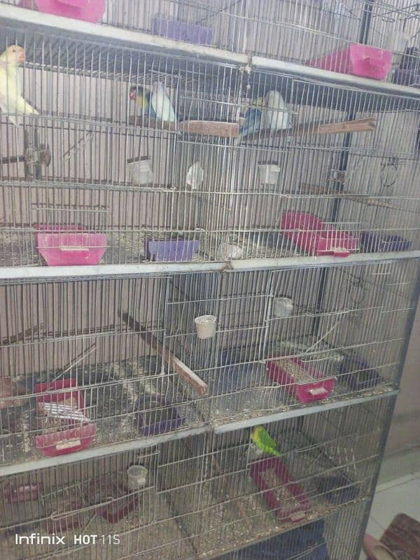 bird cage 0