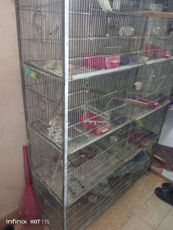 bird cage 2