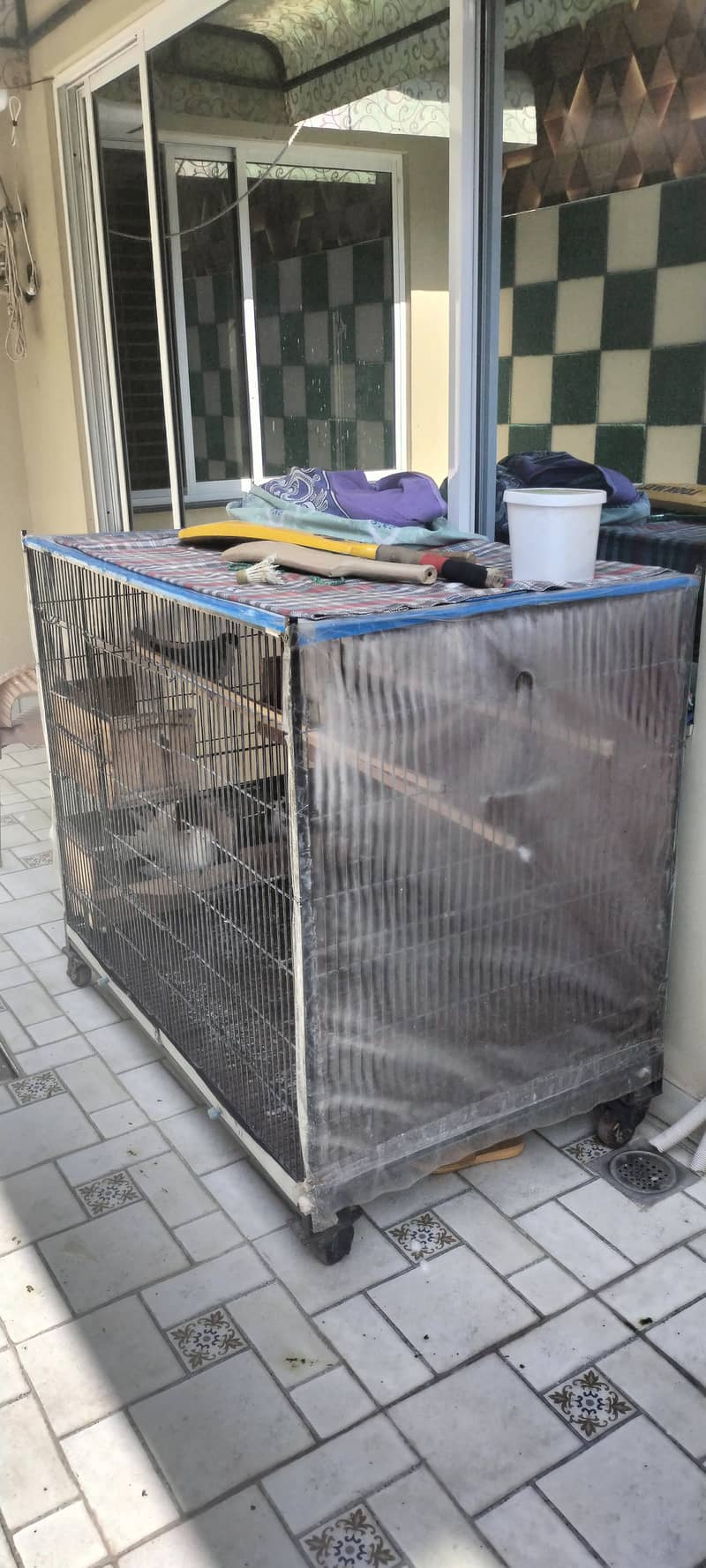 Cage & pigeons for sale 5