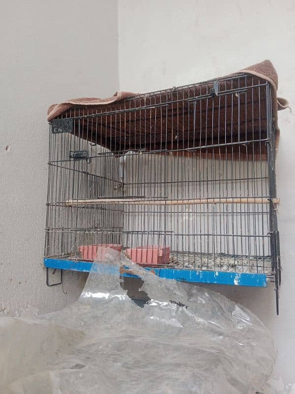 cages for sale urgent sale 6000 per piece 1