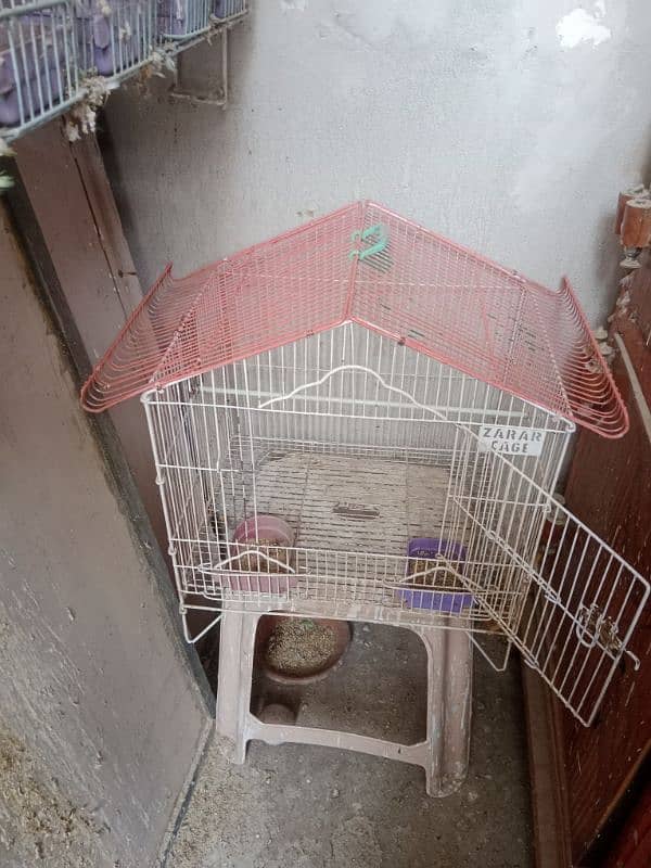 cages for sale urgent sale 6000 per piece 2