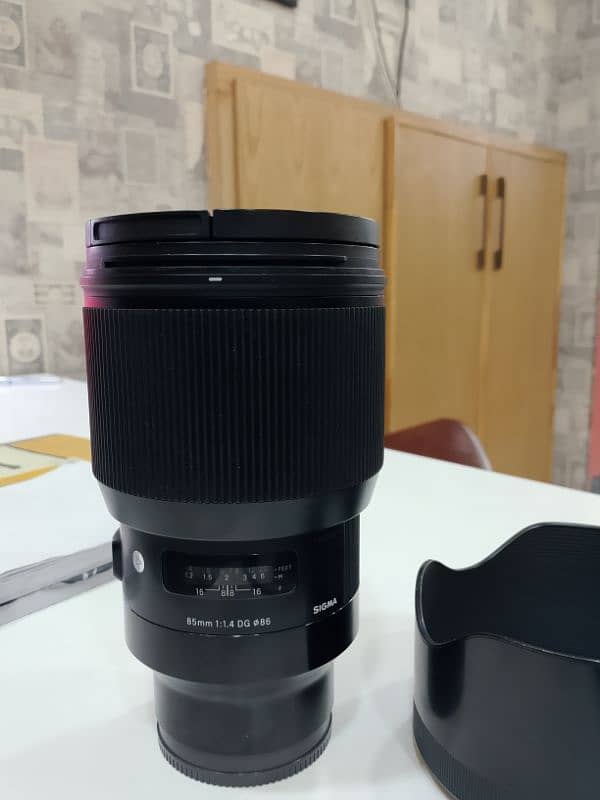 Sigma 85mm f/1.4 DG Art (Sony) 7