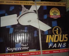 Indus Ceiling Fan