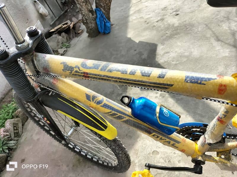 Bicycle Giant 26 inch 5