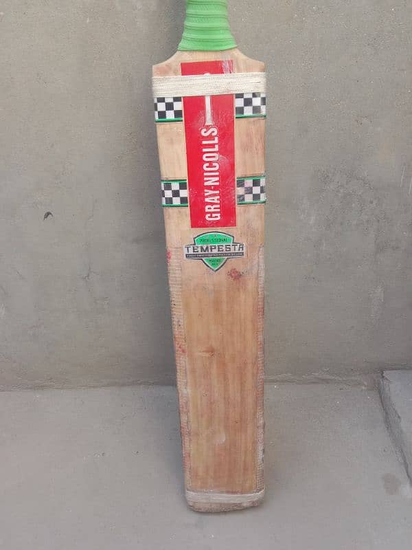 cricket bat 1