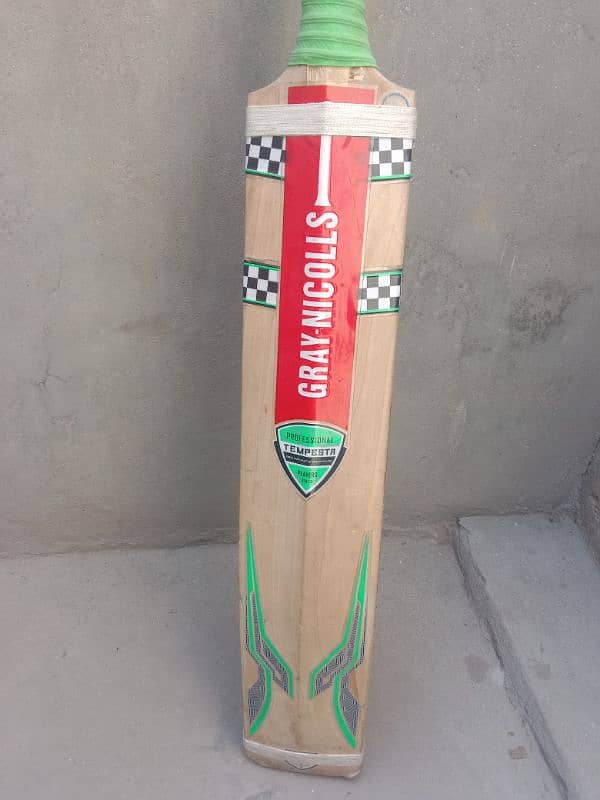 cricket bat 2