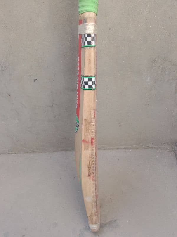 cricket bat 3