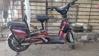 Ebike