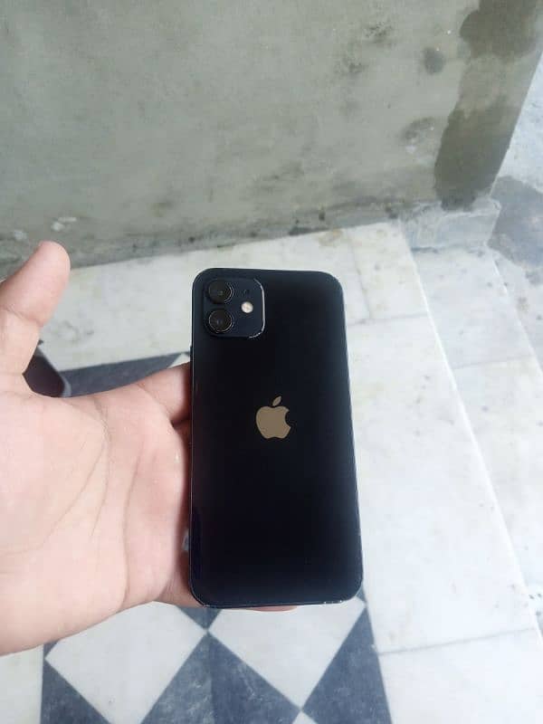 Apple iPhone 12 1