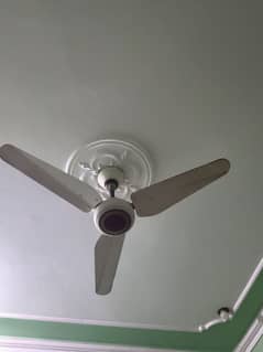 fan