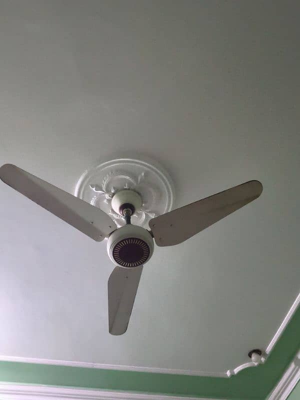 fan for 0