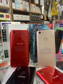 Vivo